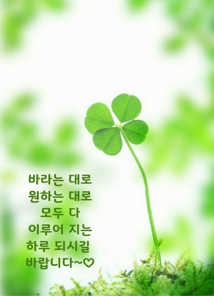 한번 맺은 인연은 영원하라 - 사랑♡좋은 글방 - 수림결혼정보 www.zzakk.com 한번 맺은 인연은 영원하라