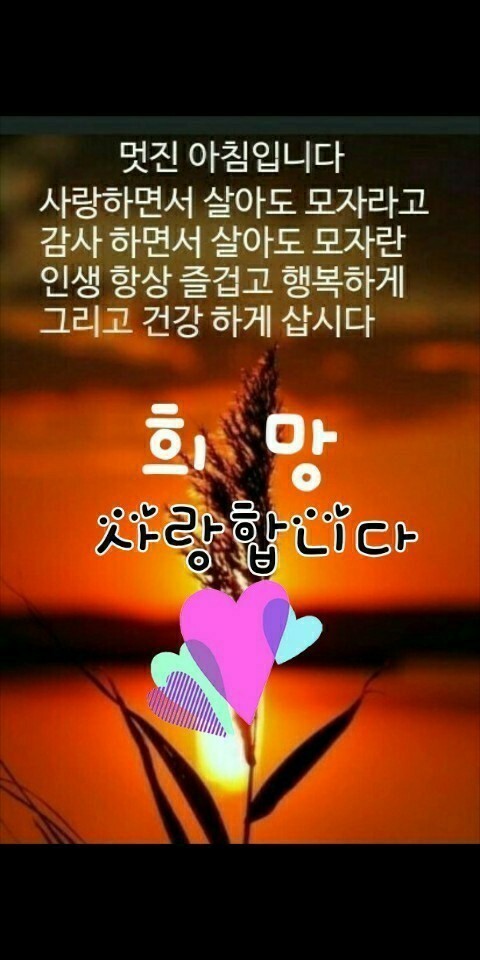 ★ 이런 사람이 행복합니다 ★ - 사랑♡좋은 글방 - 수림결혼정보 www.zzakk.com ★ 이런 사람이 행복합니다 ★