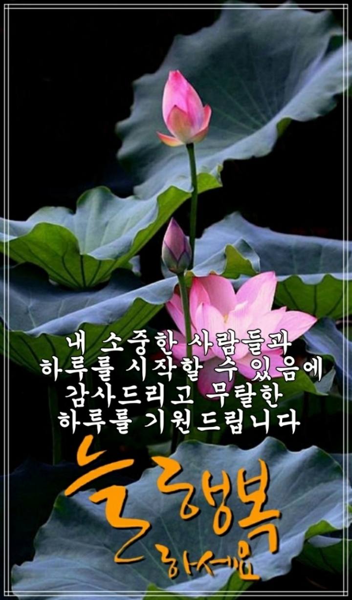 ♥ 행복의 문을 여는 방법 ♥ - 좋은글 - 수림결혼정보 www.zzakk.com ♥ 행복의 문을 여는 방법 ♥