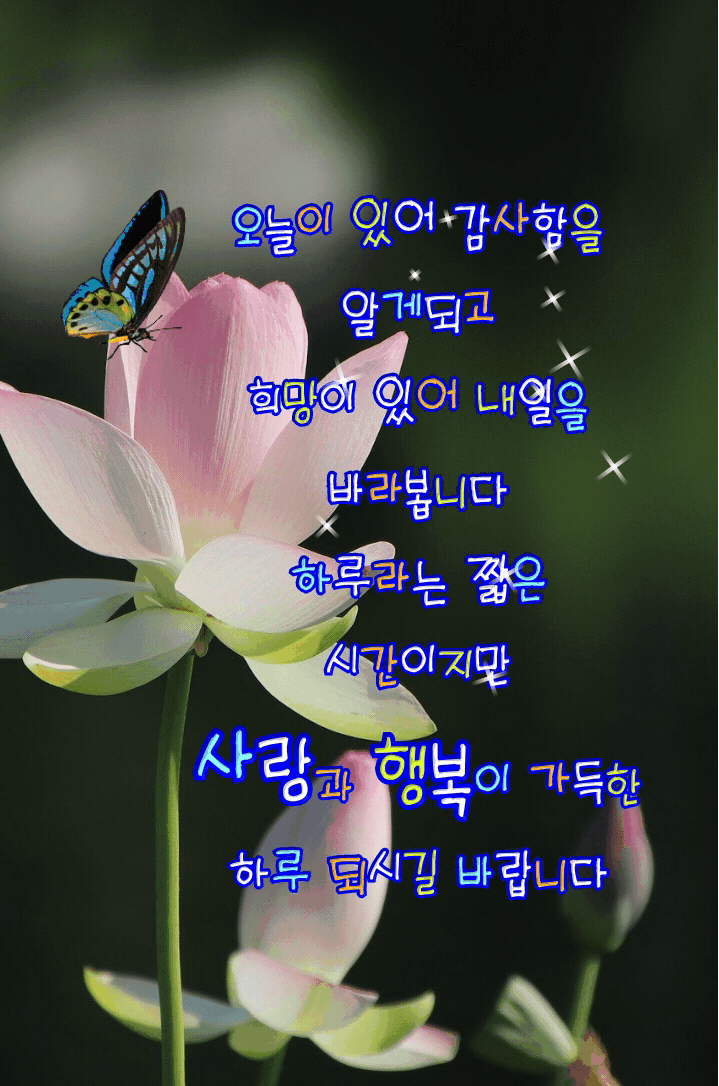 작고 사소한 행복들 - 사랑♡좋은 글방 - 수림결혼정보 www.zzakk.com 작고 사소한 행복들