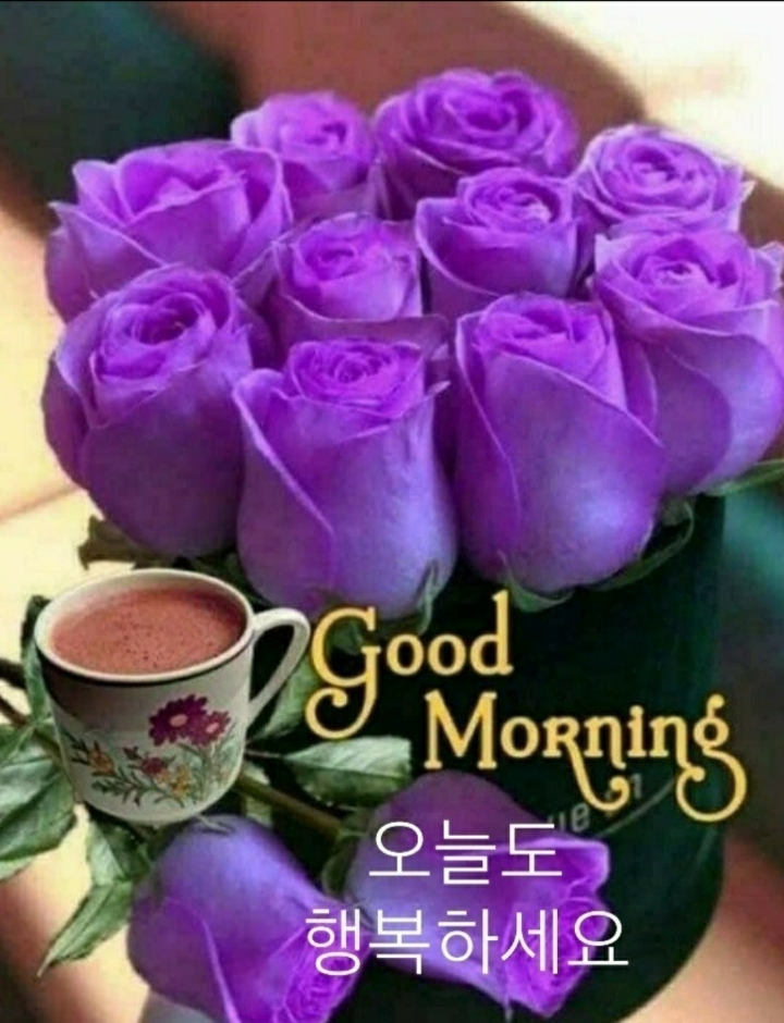 🧡 좋은 인연인 🧡 - 사랑♡좋은 글방 - 수림결혼정보 www.zzakk.com 🧡 좋은 인연인 🧡