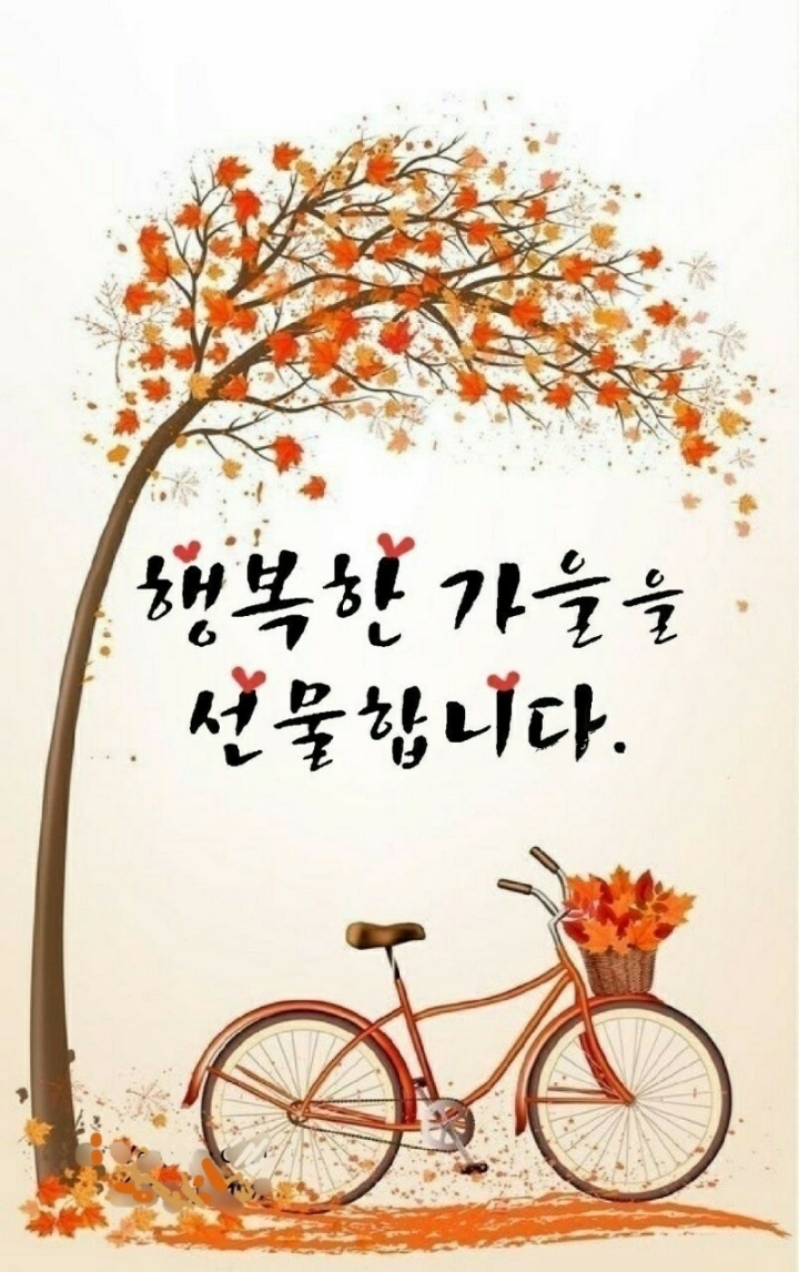 [오직 너를 위한 글] - 사랑♡좋은 글방 - 수림결혼정보 www.zzakk.com [오직 너를 위한 글]