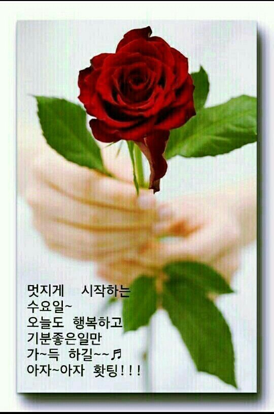 ＜건강 상태 나쁨 알리는 경고신호 7가지＞ - 자유 게시방 - 수림결혼정보 www.zzakk.com ＜건강 상태 나쁨 알리는 경고신호 7가지＞