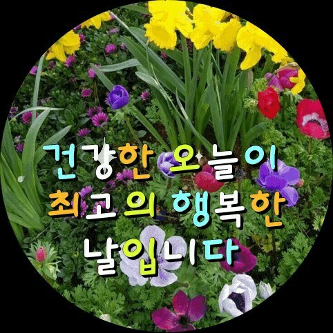 ♡행복을 끌어당기는 방법♡ - 감동 좋은글 - 수림결혼정보 www.zzakk.com ♡행복을 끌어당기는 방법♡