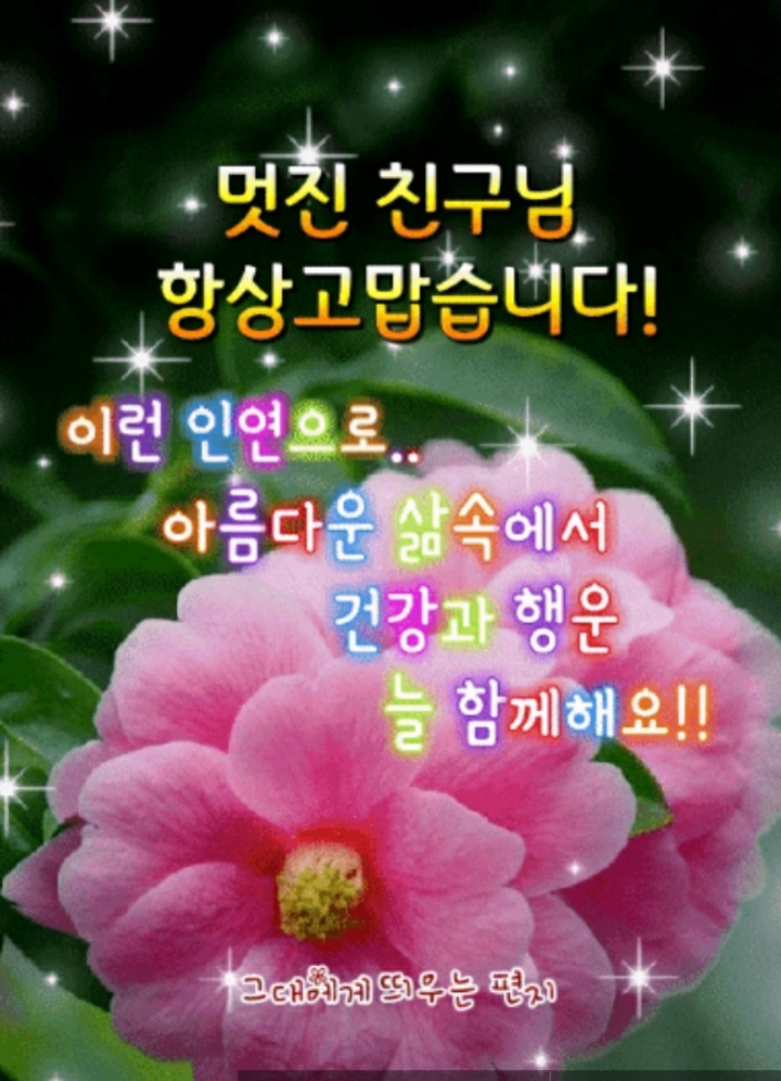 🌹한번 맺은 인연(因緣)은 영원하라!🌹 - 감동 좋은글 - 수림결혼정보 www.zzakk.com 🌹한번 맺은 인연(因緣)은 영원하라!🌹