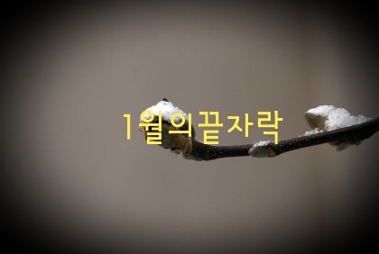 깊이 이미지