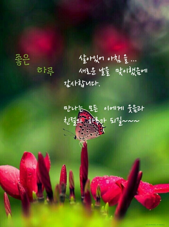 [그대와 가장하고 싶은 것들] - 사랑♡좋은 글방 - 수림결혼정보 www.zzakk.com [그대와 가장하고 싶은 것들]