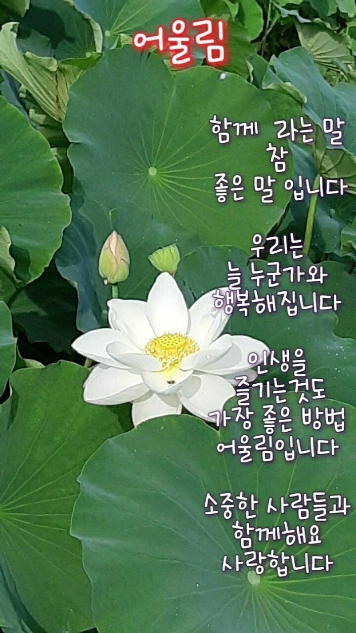 당신은 복이 있는 사람입니다 - 좋은글 - 수림결혼정보 www.zzakk.com 당신은 복이 있는 사람입니다