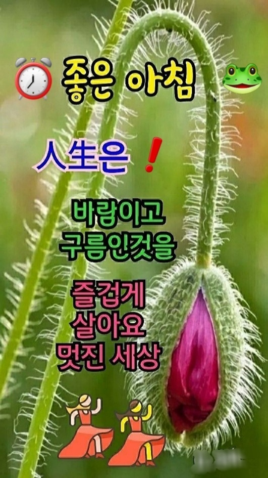 ★ 서로 기대고 사는 인연 ★ - 좋은글 - 수림결혼정보 www.zzakk.com ★ 서로 기대고 사는 인연 ★