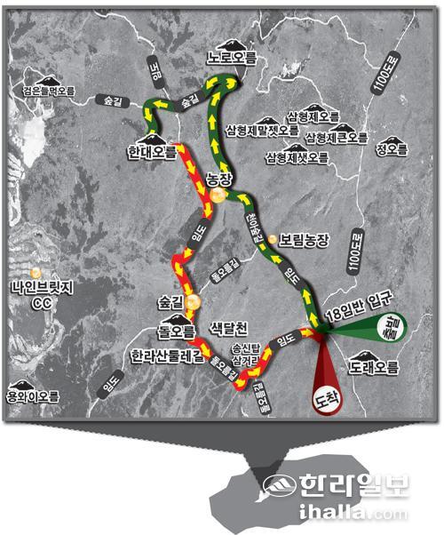 한라산영실돌오름표고버섯 이미지