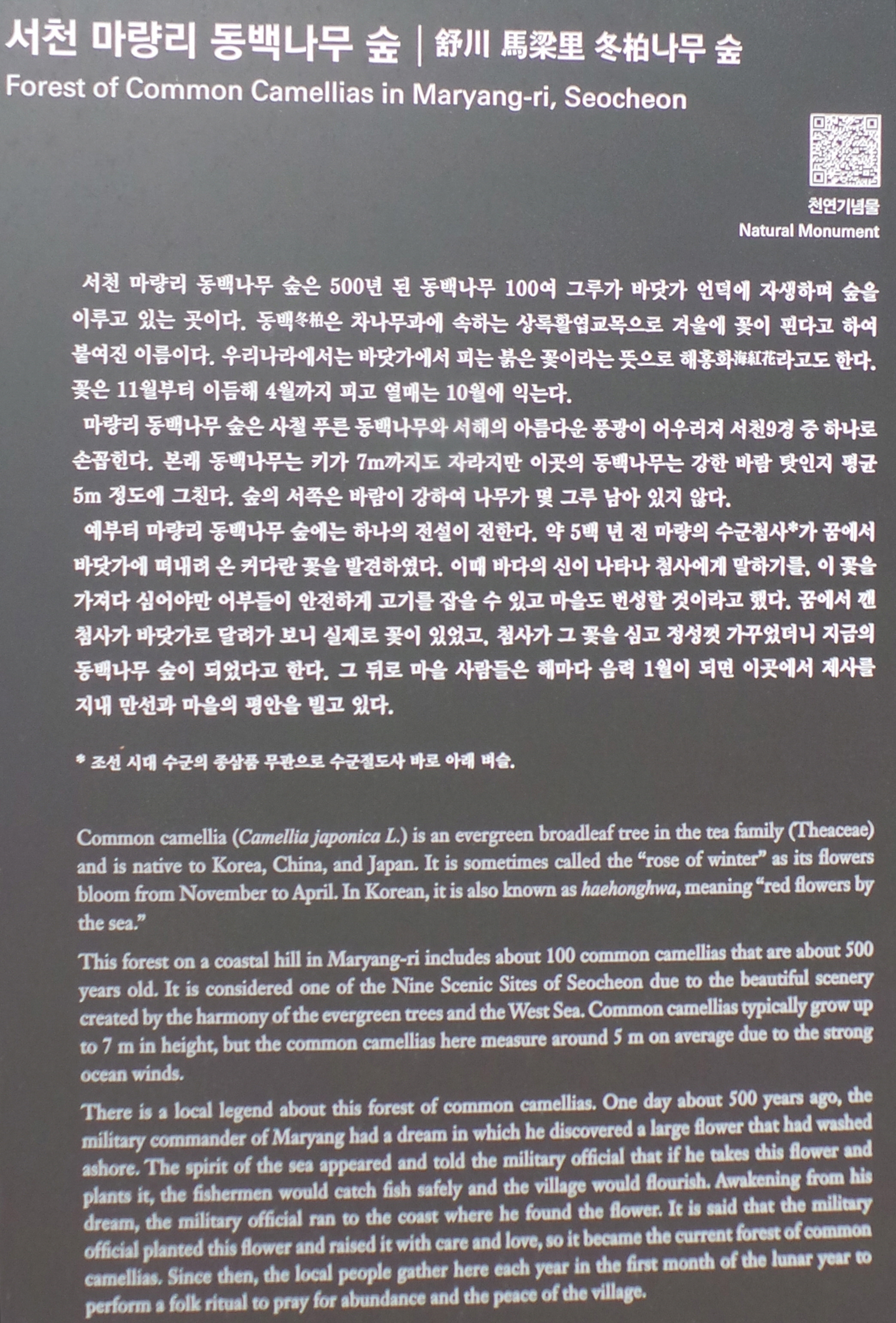 꽃숲 이미지