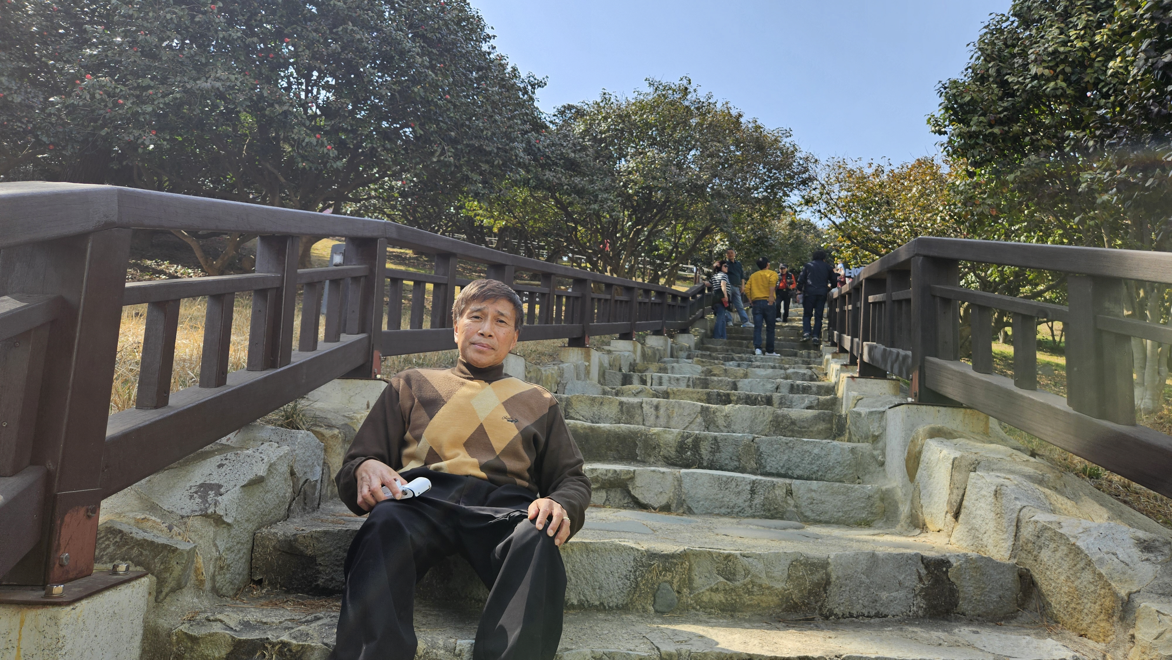 동백양과 이미지