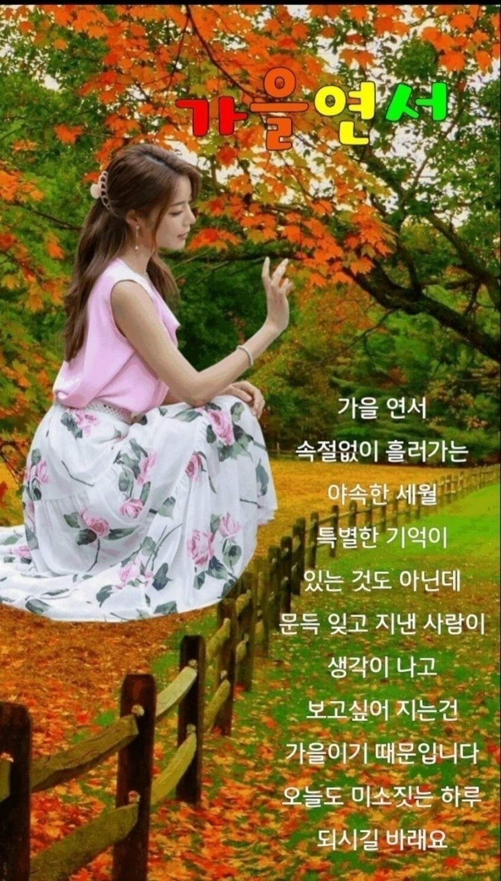 꼬끼요 이미지