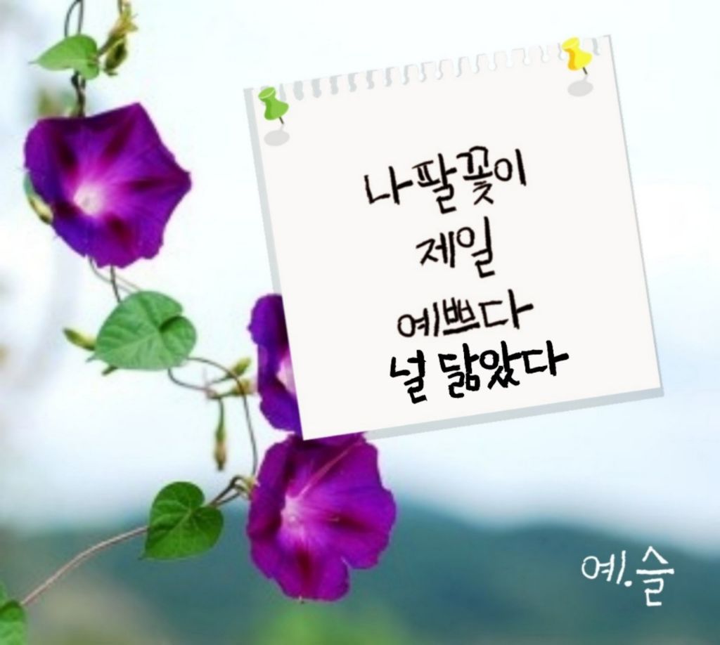 만사형통 이미지