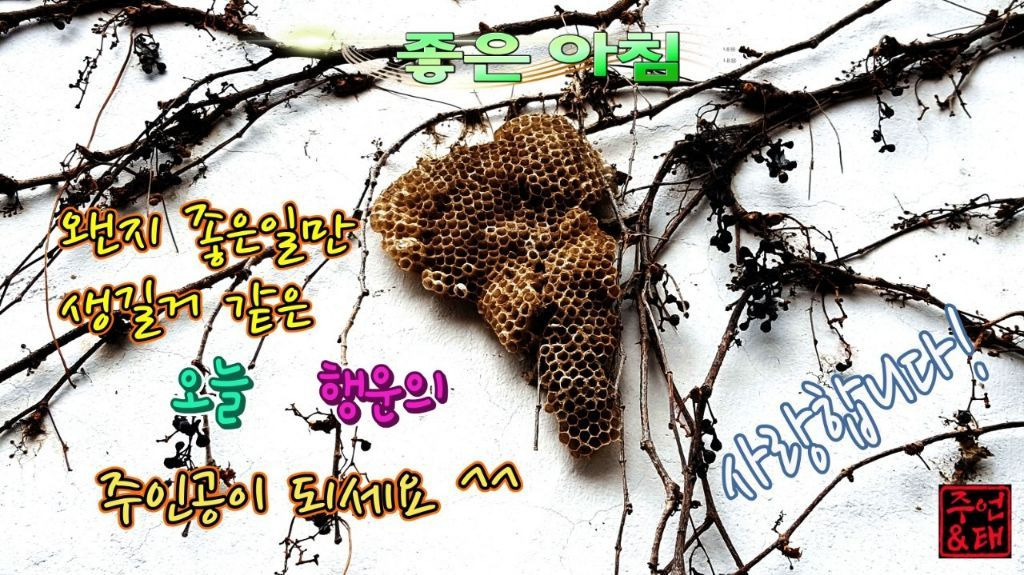 또하나의친구 이미지