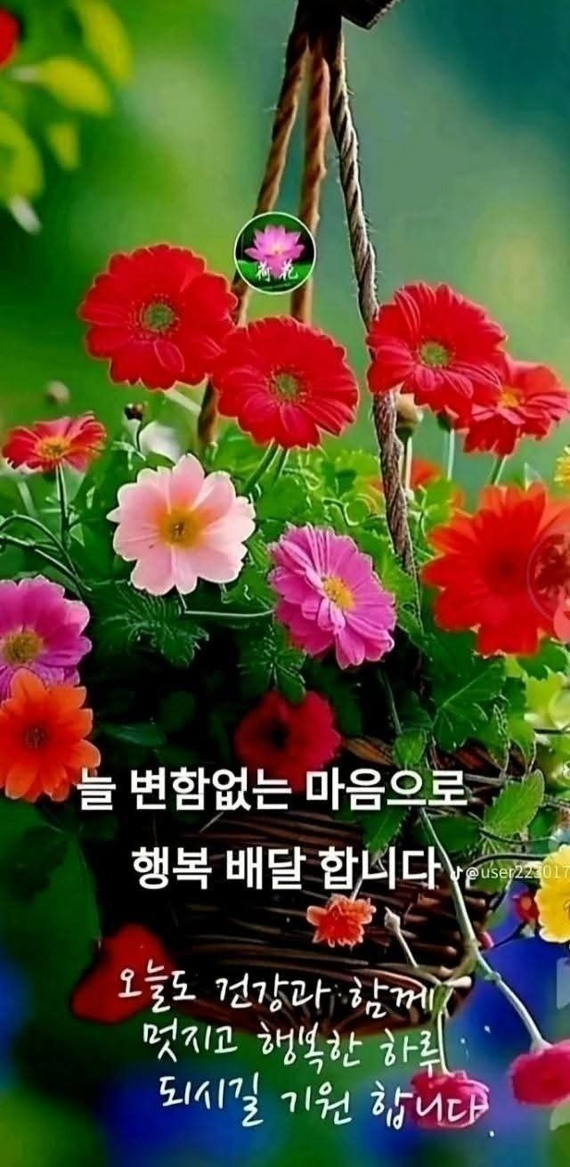 멋진인생 이미지