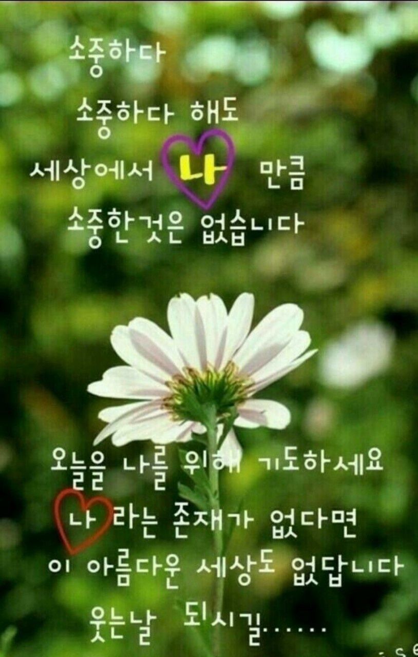 만사형통 이미지