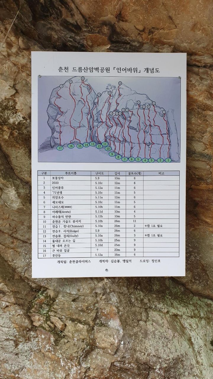 인어루트 이미지