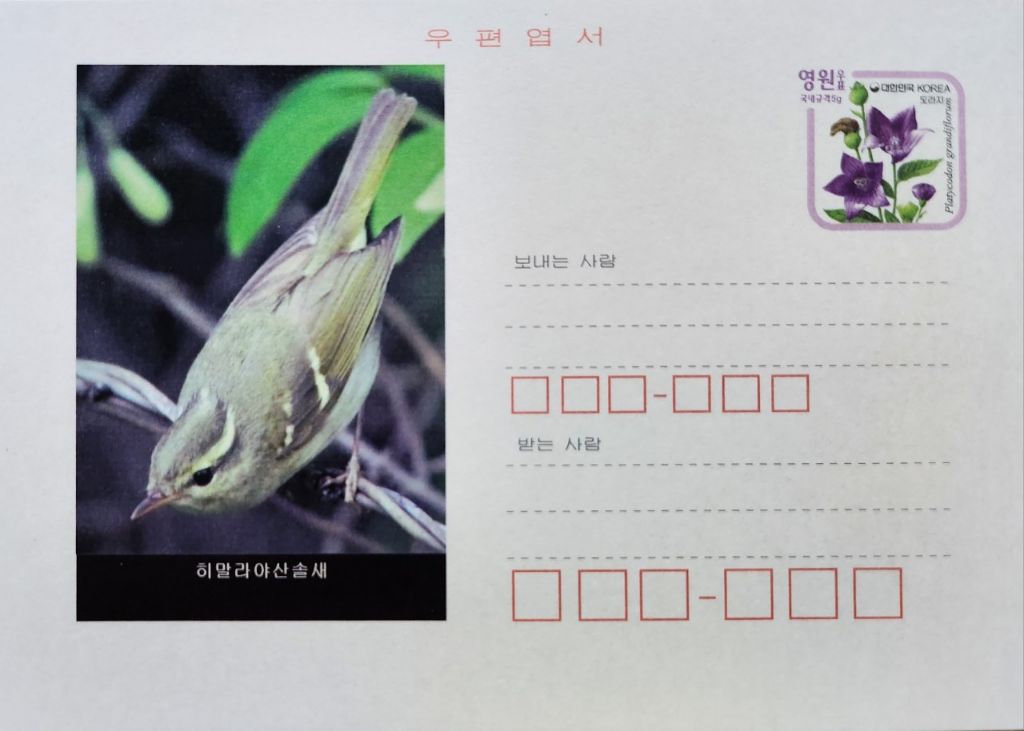산솔새 이미지