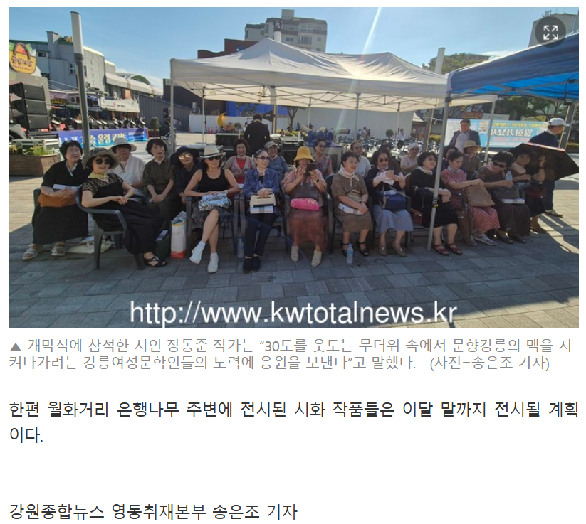 강릉월화 이미지