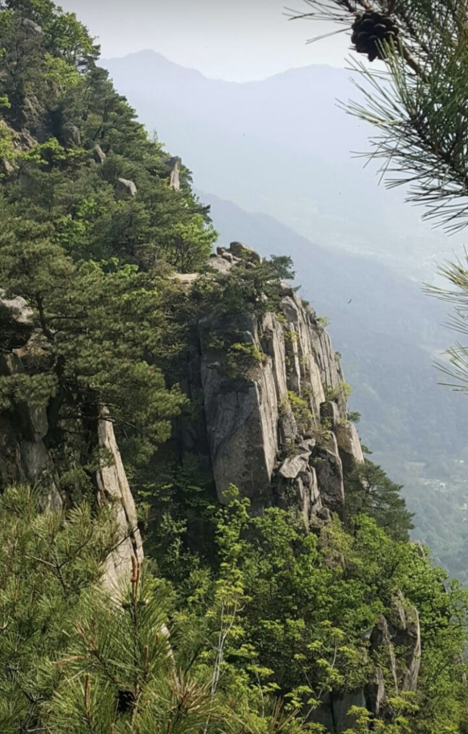 화왕산 이미지