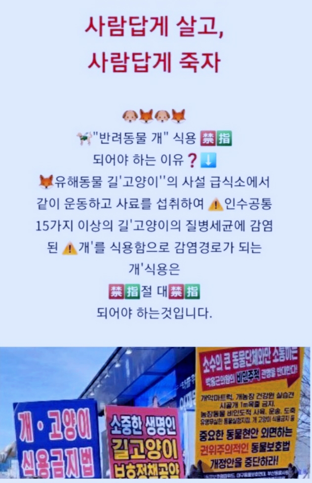 두뇌로세계로 이미지
