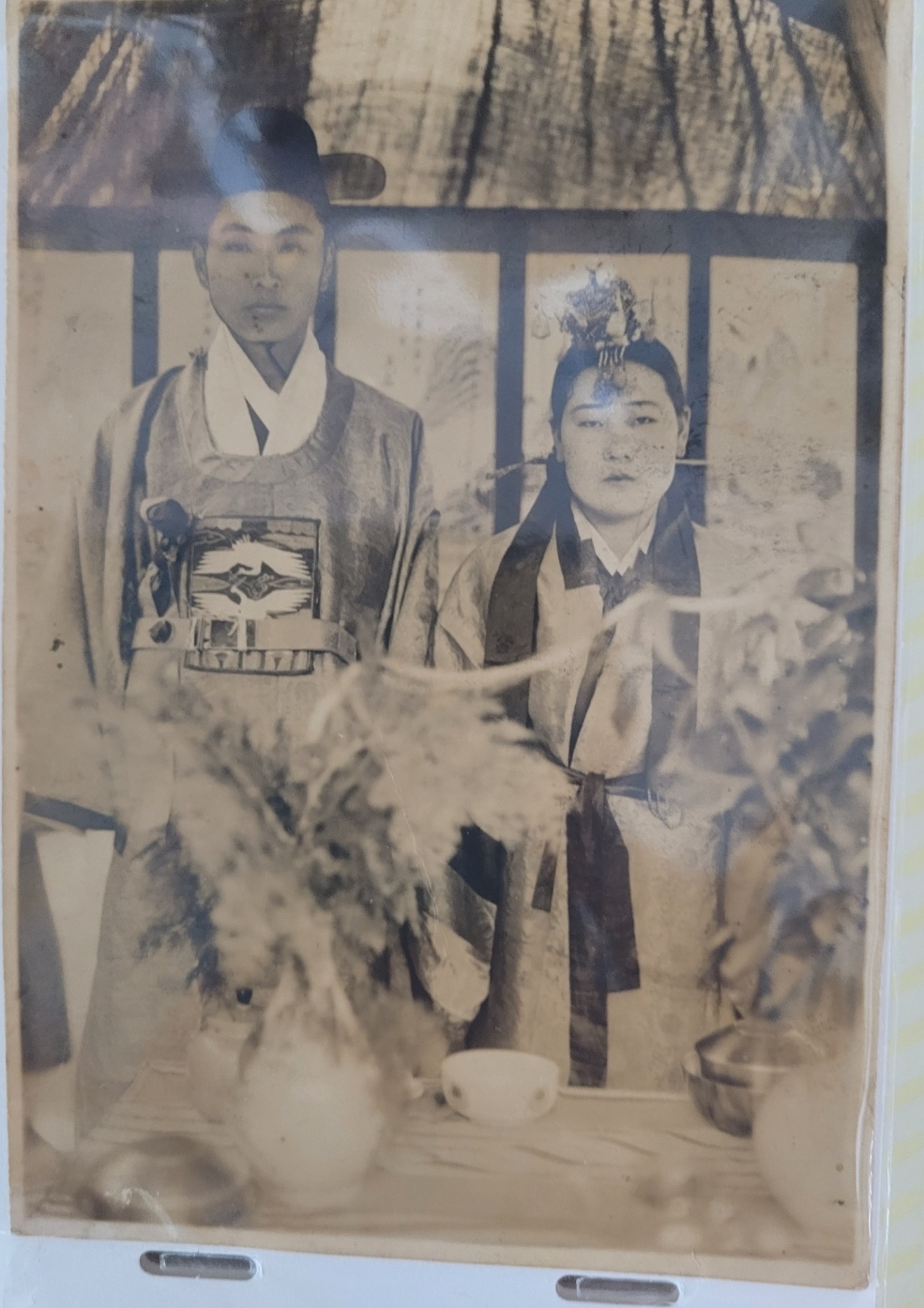 페밀리 이미지