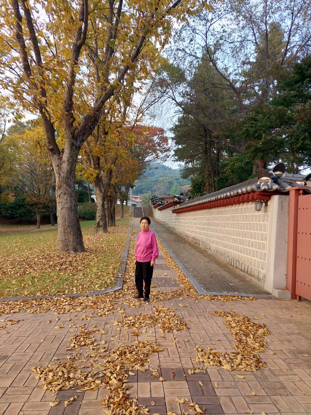 한씨네 이미지