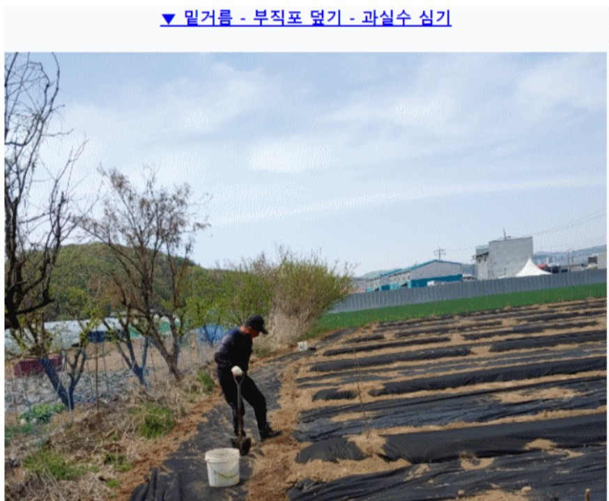 SK부동산컨설팅 이미지