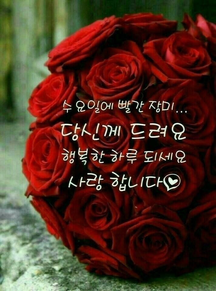 자연히 이미지