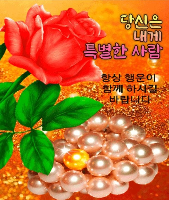 범벅 이미지