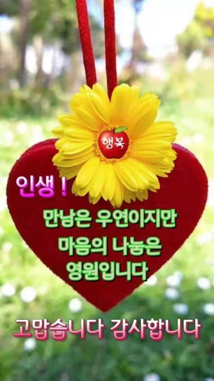 자유롭게 이미지