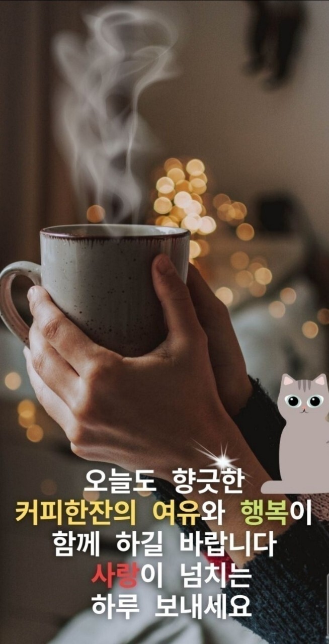 참존고기 이미지