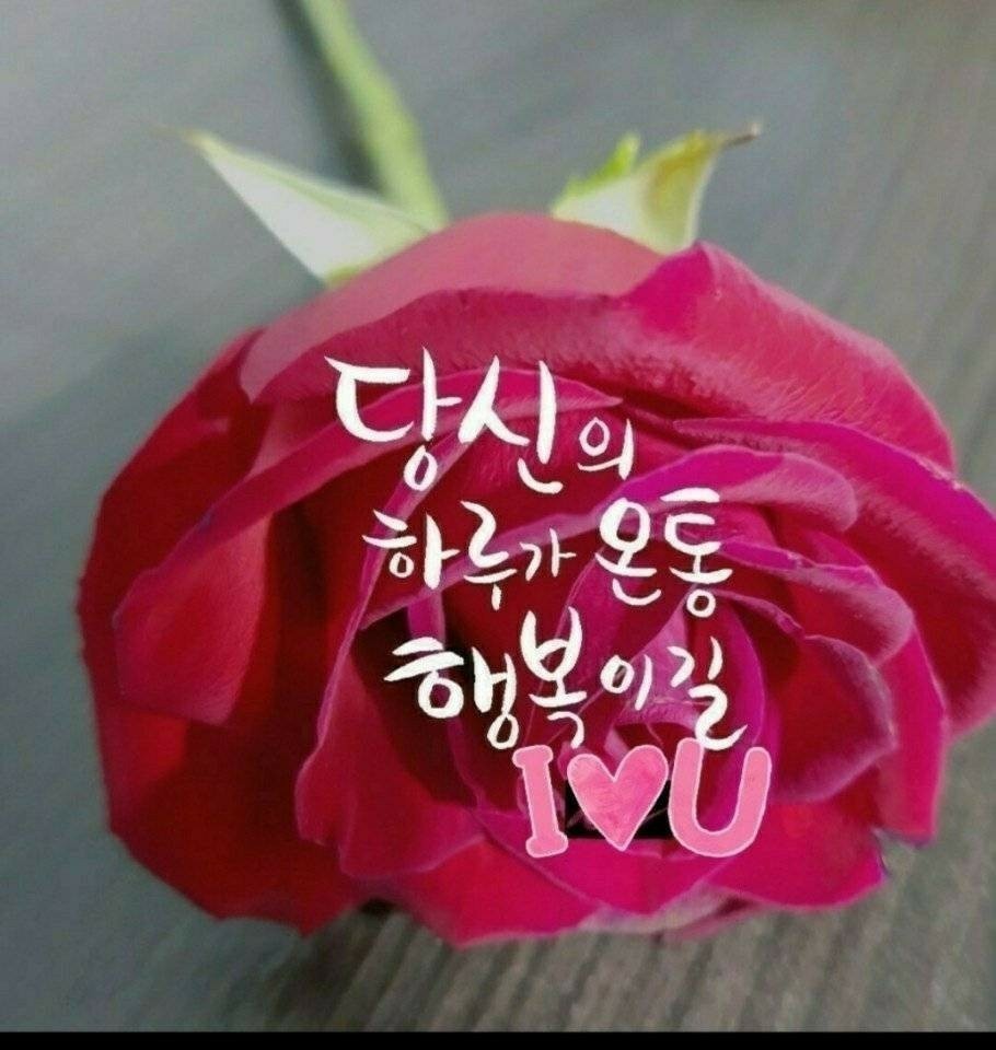 자연히 이미지