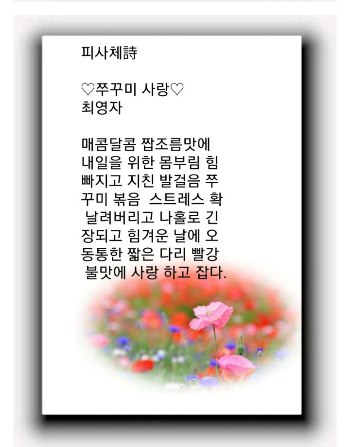 쭈꾸미사랑 이미지