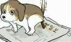 호텔69 이미지