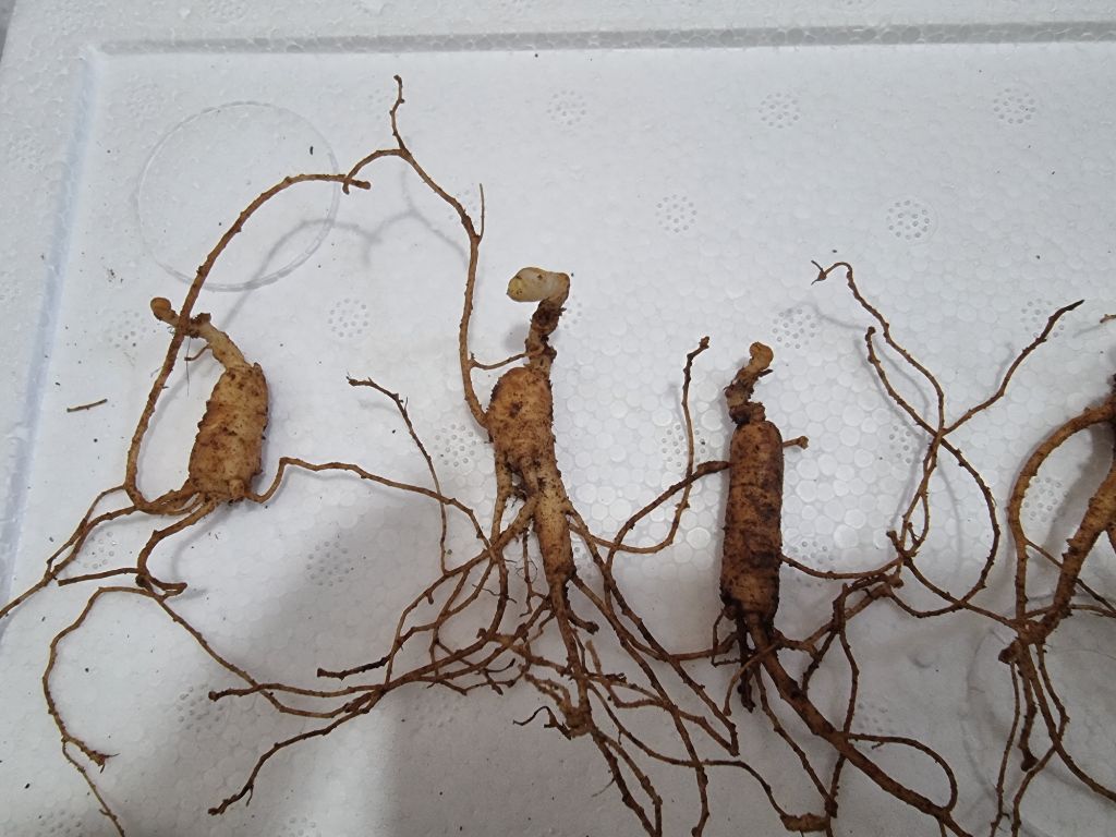 산양농업협동조합 이미지