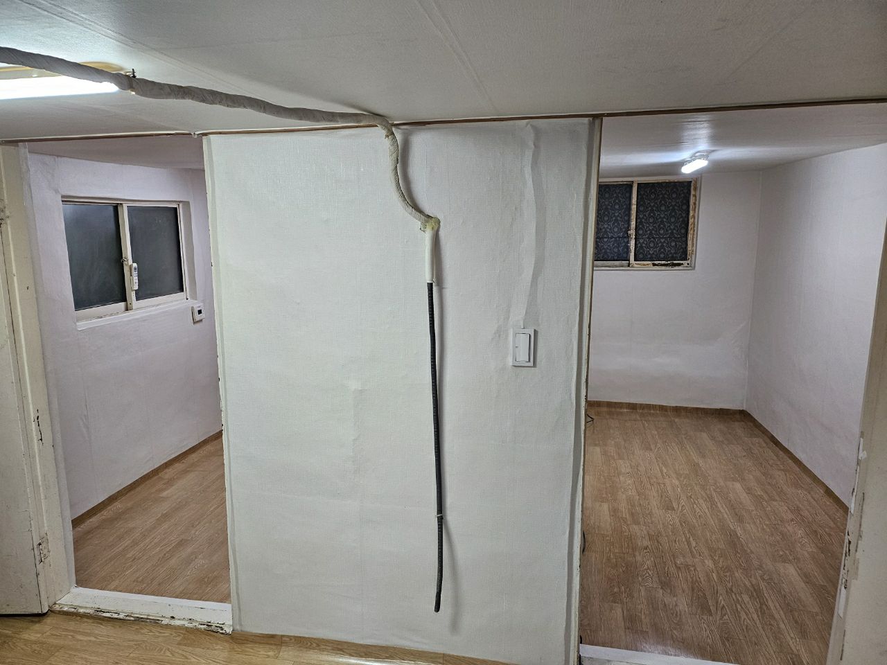 일일사 이미지
