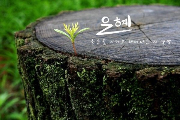 은혜이불 이미지