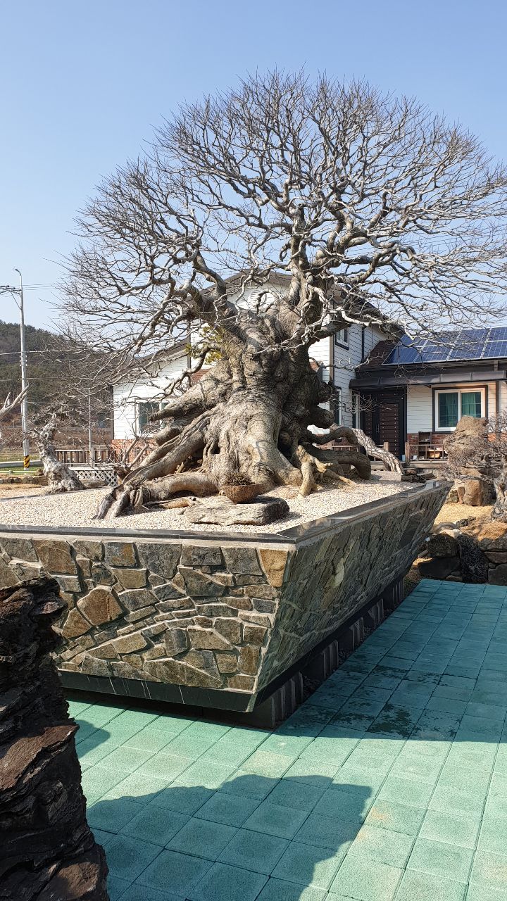 으뜸농원 이미지