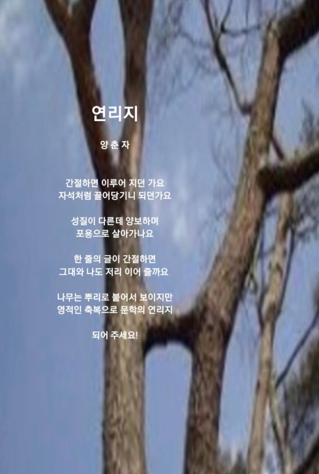 연리지 이미지
