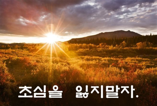초심 이미지