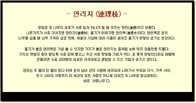 연리지 이미지