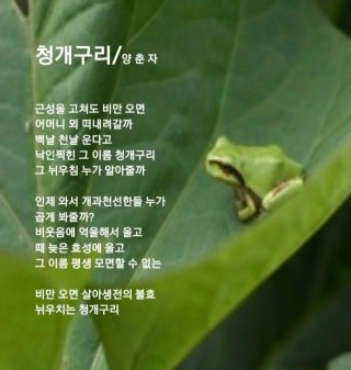 청개구리 이미지