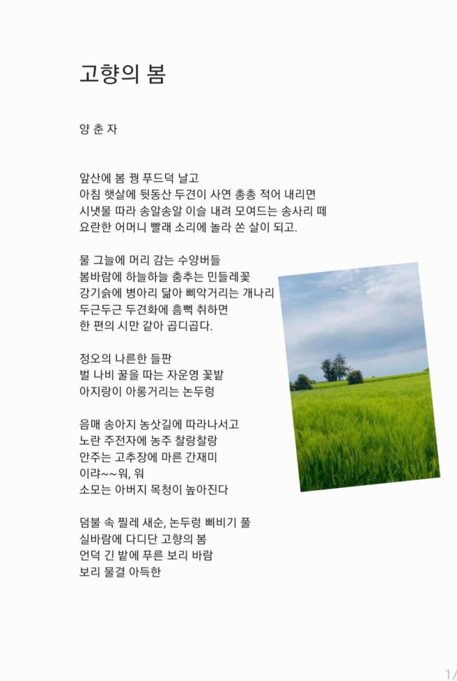 고향의봄 이미지