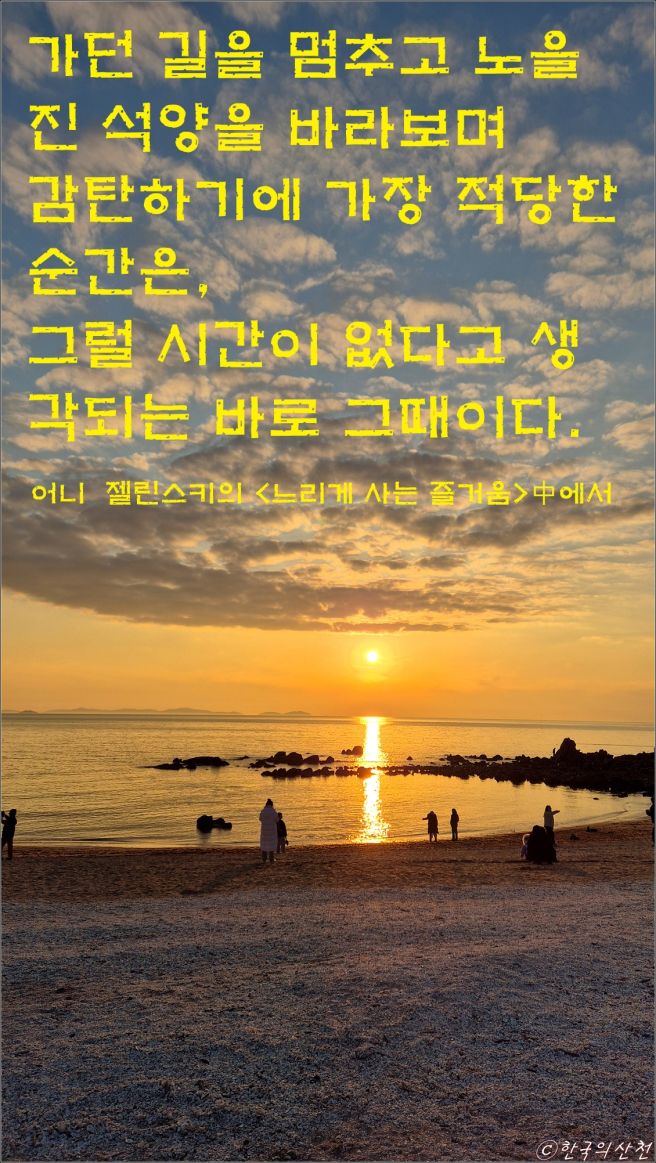 미학 이미지