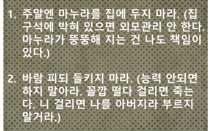 비긴 이미지