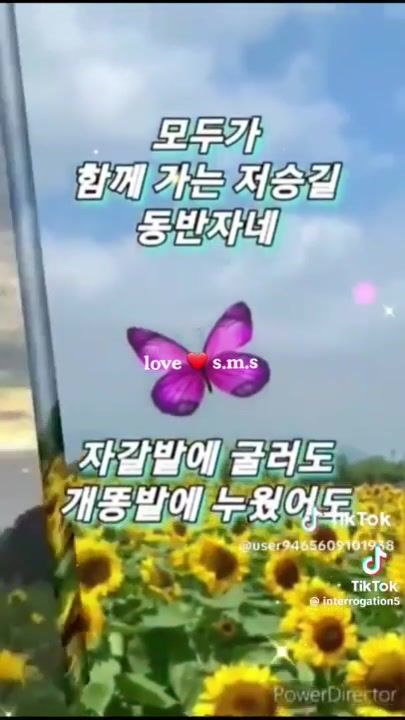 평생친구 이미지