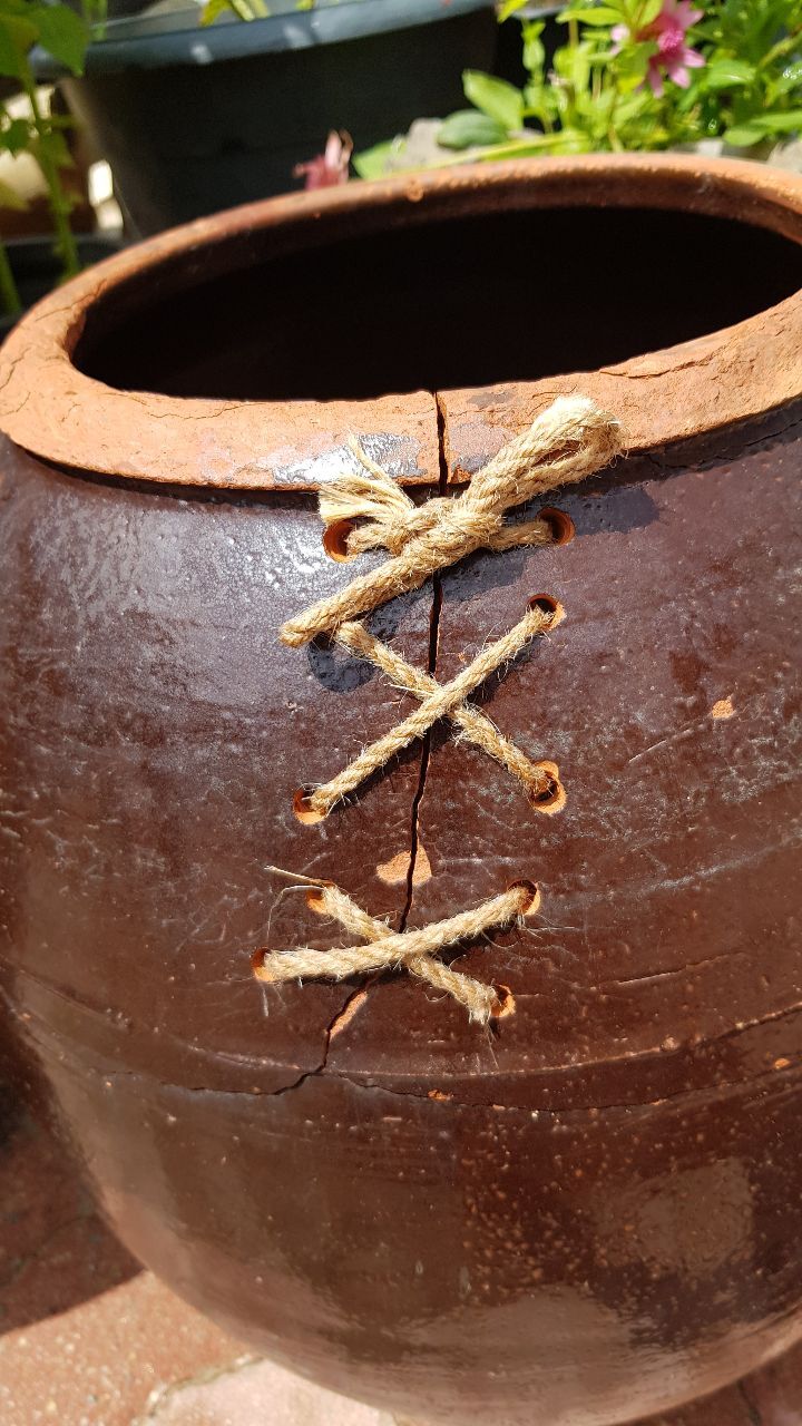 항아리와바위솔 이미지