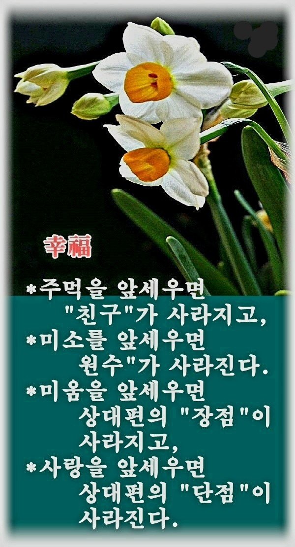 토요일 이미지